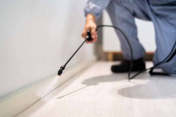 Licensed Fumigation Services service in Sullivan City, TX - Nex Pest Control