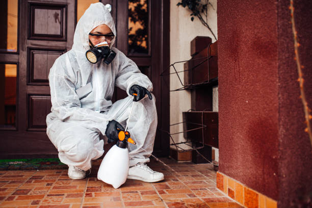 Reliable Fumigation Services contractor in Sullivan City, TX by Nex Pest Control